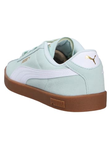 Puma Sneaker CLUB II in grün