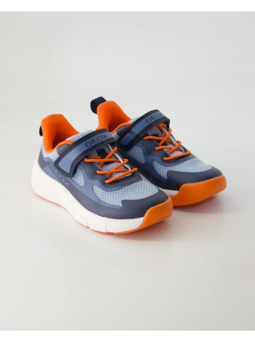 Geox Klettschuhe in Blau
