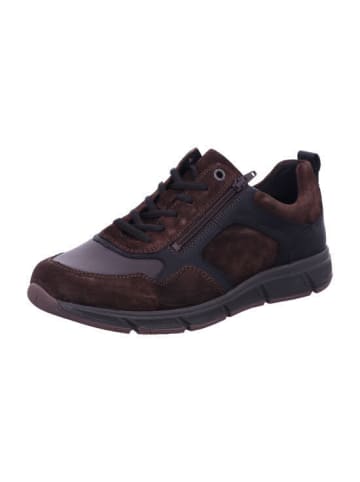 Solidus Sneaker in braun