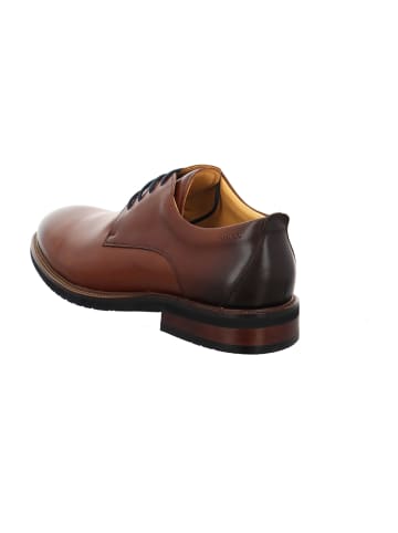 DIGEL Business Schnürschuhe in Braun