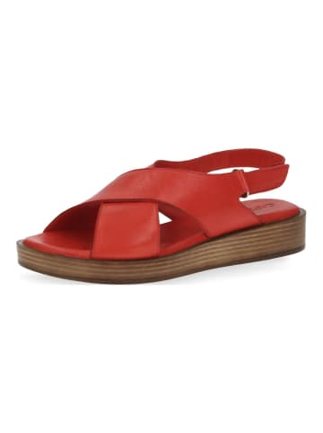 Caprice Sandalen in Rot