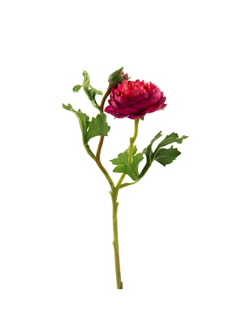 Fink Kunstblume Ranunkel amaranth - (H) 46 cm