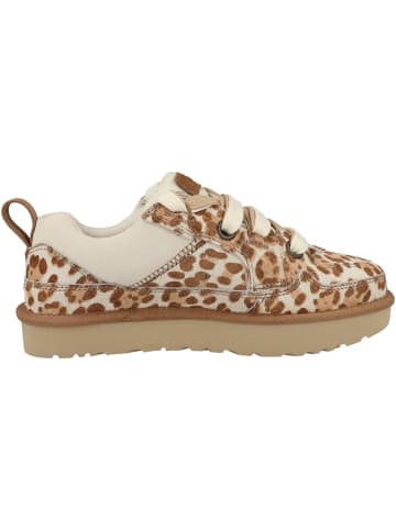UGG Sneaker low Lo Lowmel Plains in multicolor