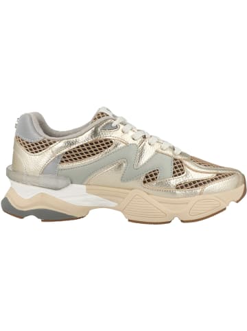 Steve Madden Sneaker low Speeder XT in gold