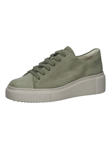 Paul Green Sneaker in Grün