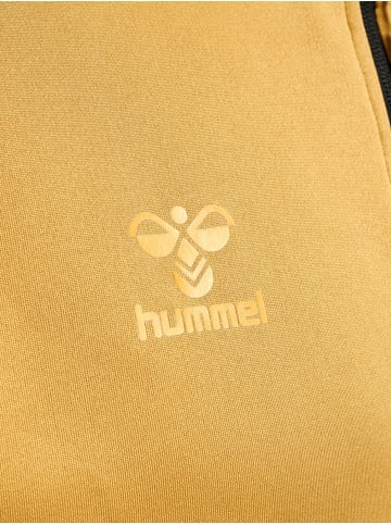 Hummel Hummel Reißverschluss Jacket Raglanärmel Hmlcima Multisport Herren in ANTIQUE GOLD