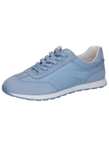 Caprice Sneaker in BLUE SUEDE