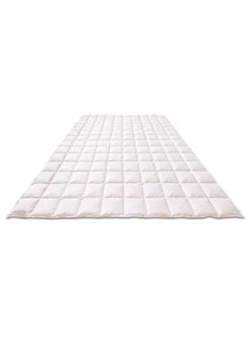KAUFFMANN Gänsedaunenbettdecke, Österreichische Weidegans – Light, 200x200 cm