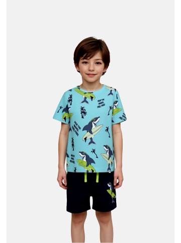 name it Sommerset 'Flaz' in blau