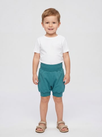 TupTam Baby Sommershorts 5er Pack in rot/grau