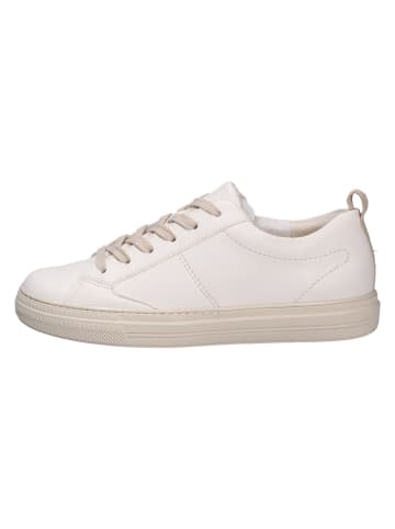 Paul Green Sneaker in beige