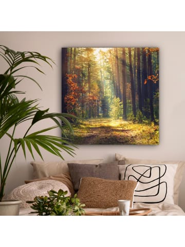 OnlyWow Leinwand Bilder Waldpfad