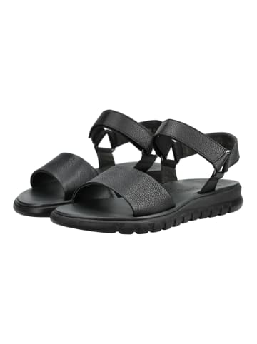 Paul Green Sandalen in Black