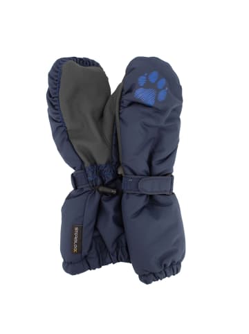 Jack Wolfskin Accessoires Stormlock Mitten in Blau