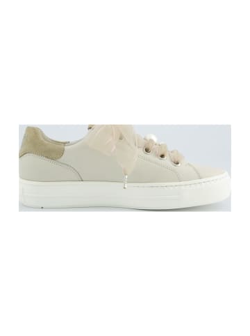 Paul Green Sneaker Low in Beige
