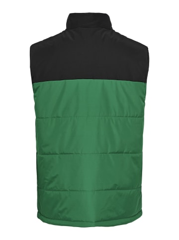 ONLY & SONS Steppweste in Black