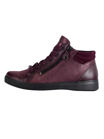 ara Stiefeletten/Boot in rot