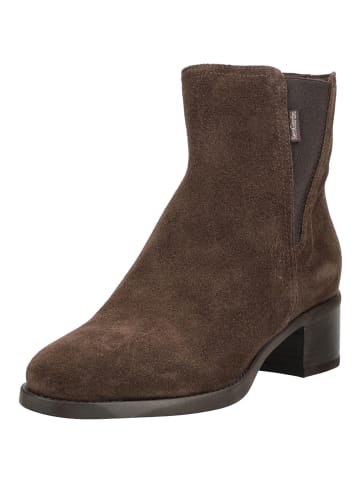 Nero Giardini Stiefelette in Dunkelbraun