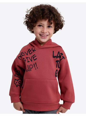 SOLANG Sweatshirt in Rotbraun