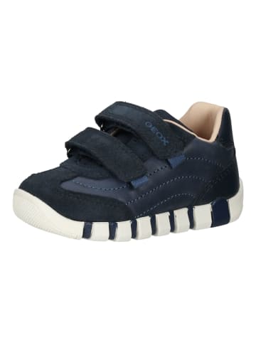 Geox Sneaker in Navy