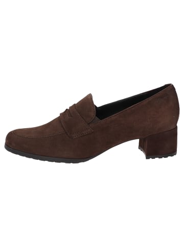 Sioux Pumps Fendrina-708 in dunkelbraun