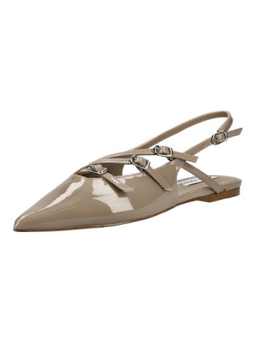 Steve Madden Ballerinas in Taupe Lack