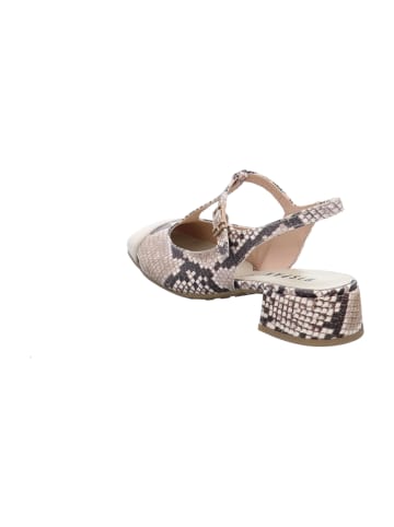 Hispanitas Slingpumps in Animal