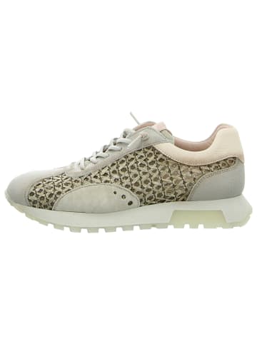 Hispanitas Sneaker Low in grün