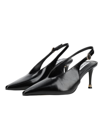 Steve Madden Pumps ARCHWAY in Schwarz/Schwarz