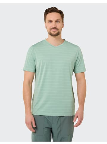 Joy Sportswear T-Shirt ALDO in grey sky stripes