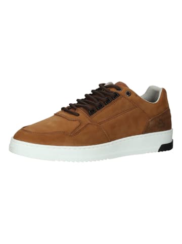 Bullboxer Sneaker in Braun