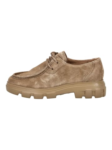 Klassische Schnürschuhe in Braun