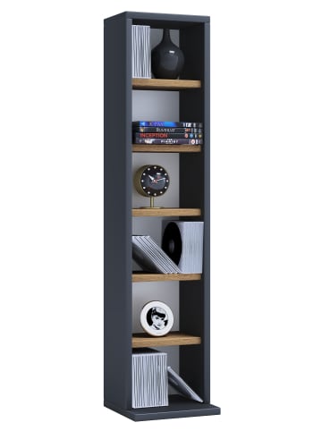 VCM  Holz CD DVD Stand Aufbewahrung Deko Regal Elementa in Anthrazit / Honig-Eiche