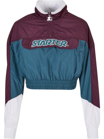 STARTER STARTER in darkviolet/teal