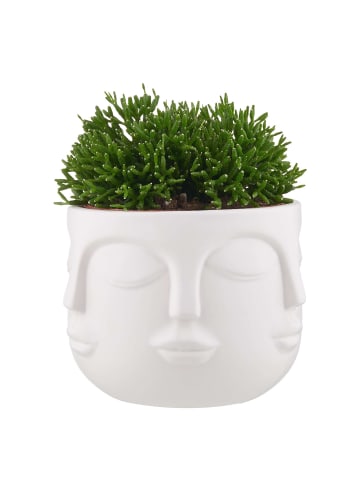 Butlers Blumentopf ARTIST Gesichter in Weiß