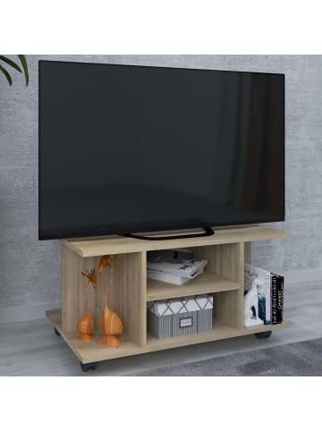 ebuy24 TV Tisch Findalo  Buche 80 x 40 cm