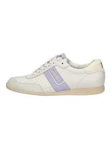 Sneaker Ivory