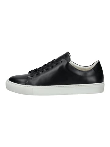 sneaky steve Sneaker in Schwarz