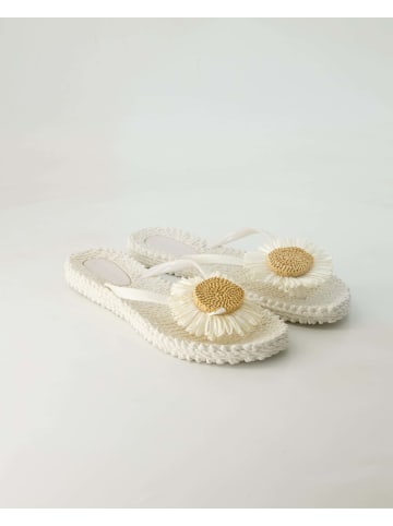 Ilse Jacobsen Zehentrenner in Weiß