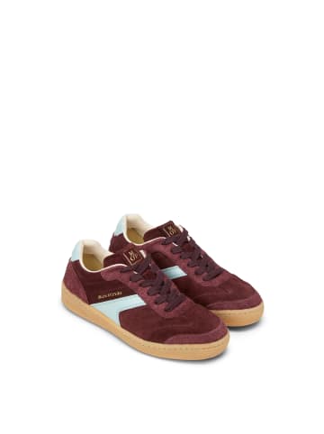 Marc O'Polo Sneaker in dark aubergine red/calm blue
