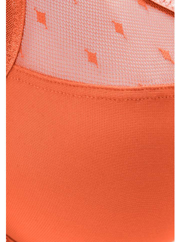 nuance Minimizer-BH in orange