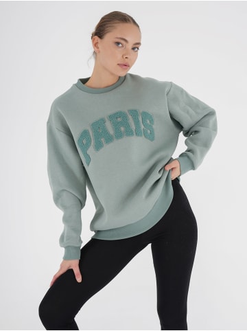 Freshlions Pullover PARIS' in mint