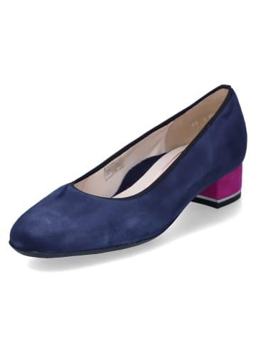 Ara Shoes Pumps in Blau