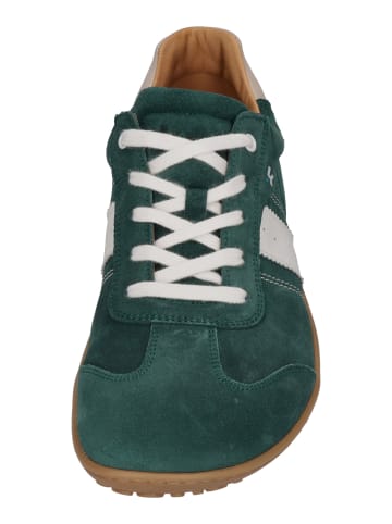 KOEL Sneaker Low ILO SUEDE 3.0 in grün