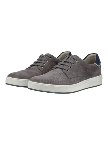 Pius Gabor Sneaker Grau