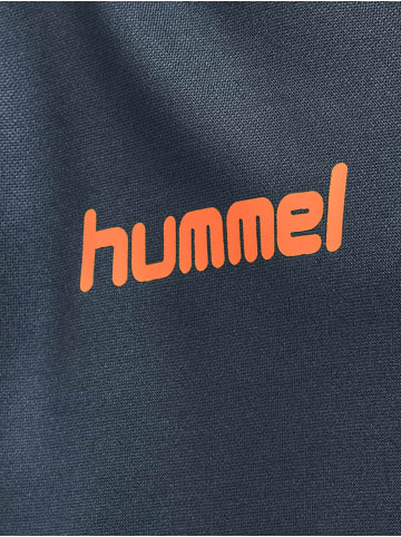 Hummel Hummel Hoodie Hmlpromo Multisport Unisex Kinder in OMBRE BLUE/NASTURIUM