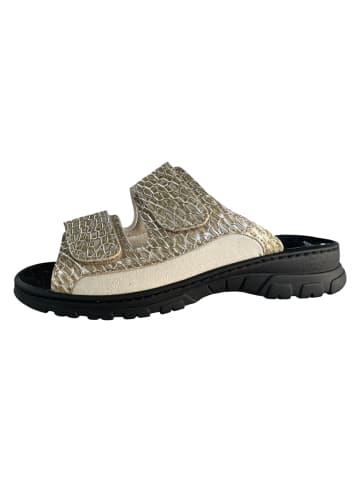 Algemare Clog SUPERWEIT-STRETCH in gold