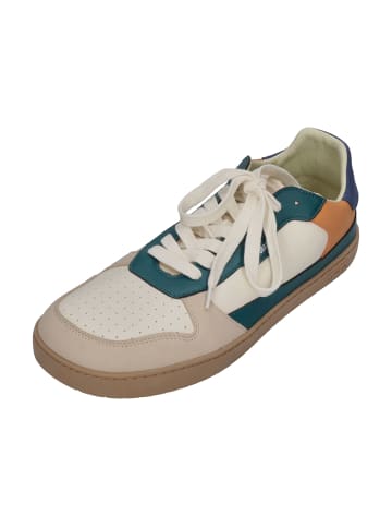 Muris Sneaker Low MAJORCA HE in bunt
