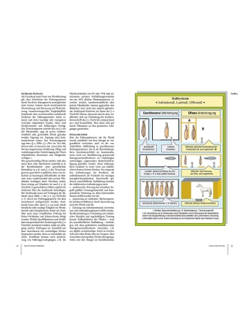 Franckh-Kosmos Pferdehaltung und -fütterung