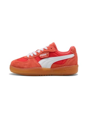 Puma Sneaker "Palermo Moda Vintage Wns" in Rot